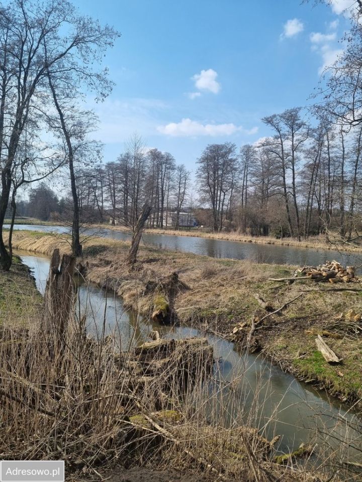 Działka budowlana Tomaszówka. Zdjęcie 3