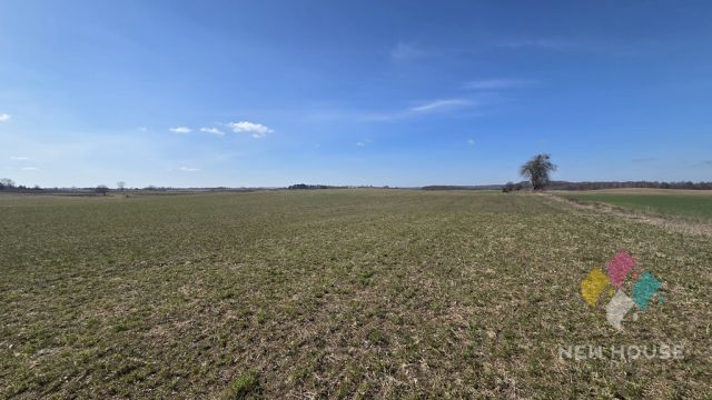 Działka rolna Woźnice. Zdjęcie 4