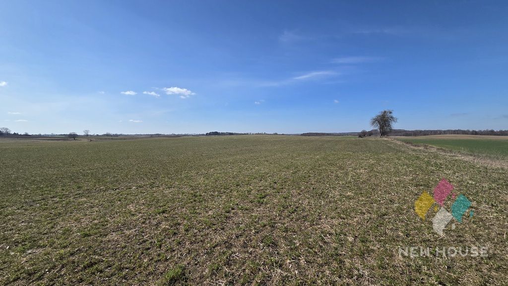 Działka rolna Woźnice. Zdjęcie 4