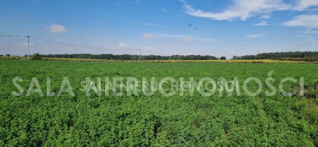 Działka budowlana Mochle. Zdjęcie 2