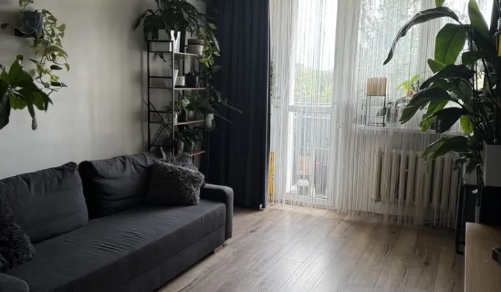 Mieszkanie 3-pokojowe Poznań Nowe Miasto, ul. Krańcowa