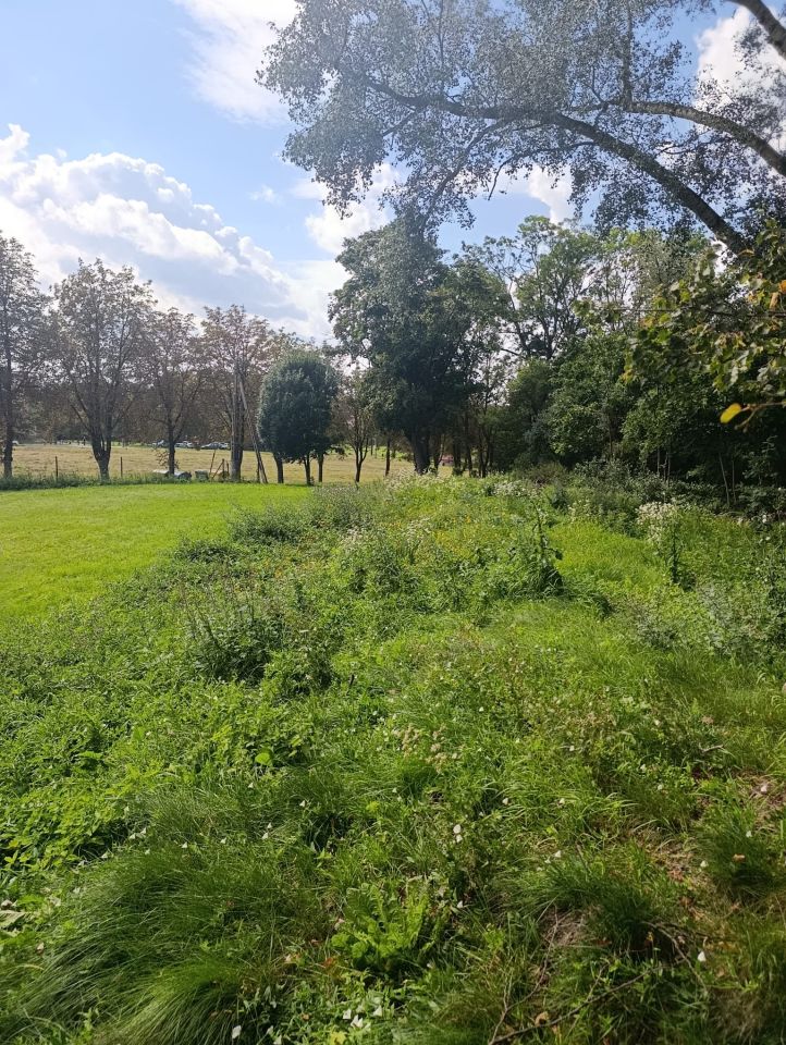 dom szeregowy, 4 pokoje Garbno, Garbno 19. Zdjęcie 6