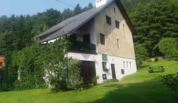 dom wolnostojący, 8 pokoi Podgórzyn, ul. Dolina Czerwienia
