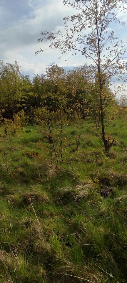 Działka budowlana Nowe Pieścirogi, ul. Onyksowa. Zdjęcie 2