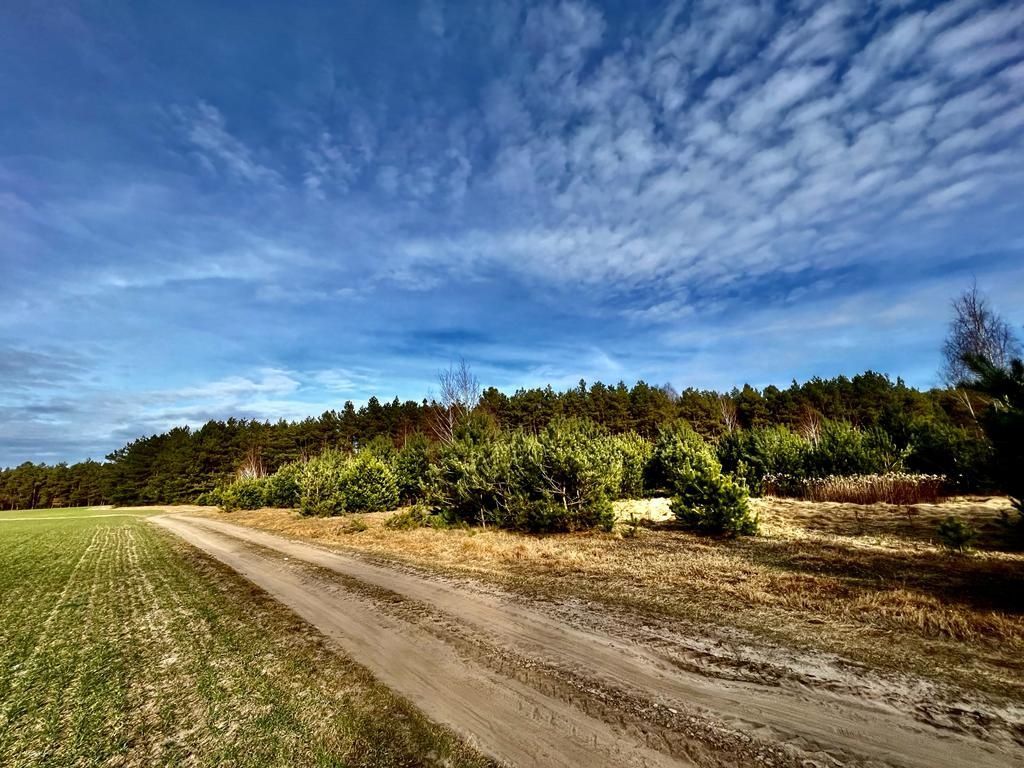 Działka rolna Będzeń. Zdjęcie 5