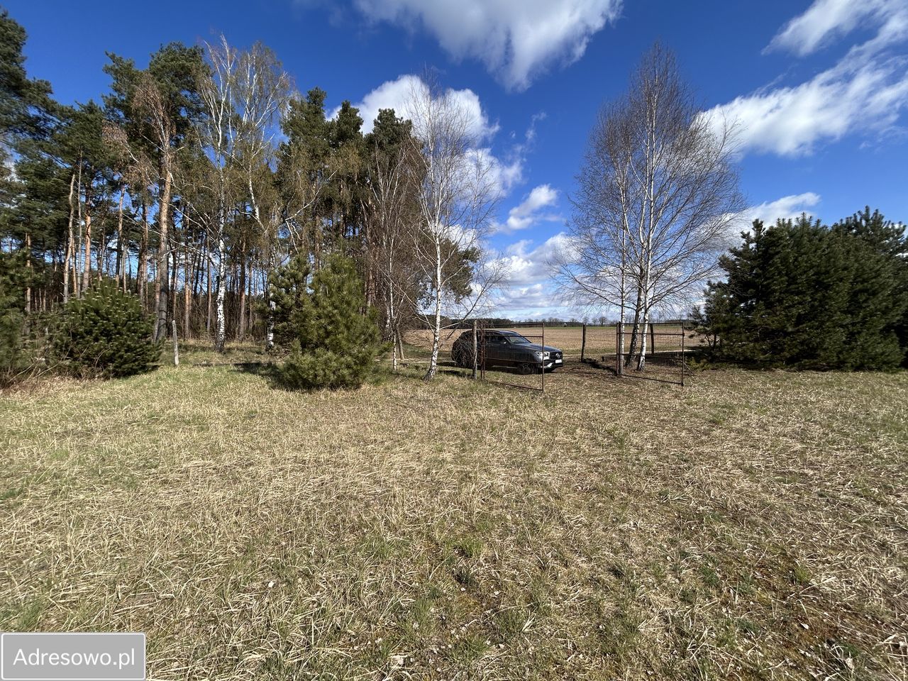 Działka budowlana Tylewice. Zdjęcie 1