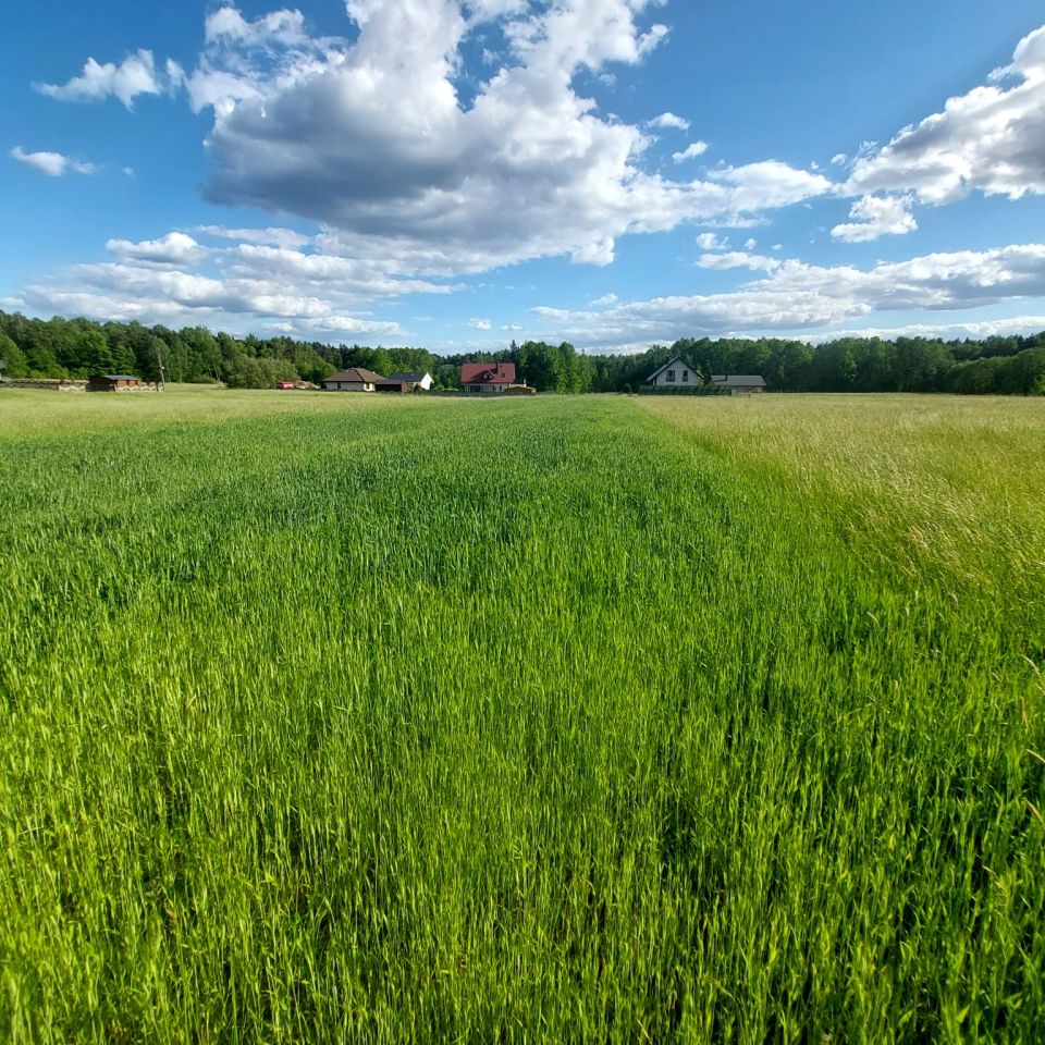 Działka budowlana Poręba Niwki, ul. Borkowa. Zdjęcie 6