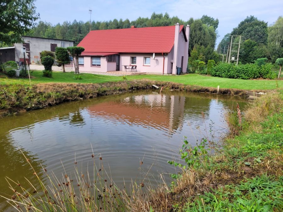 siedlisko Sierzno. Zdjęcie 2