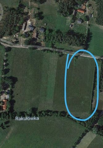 Działka rolno-budowlana Dębniaki. Zdjęcie 1