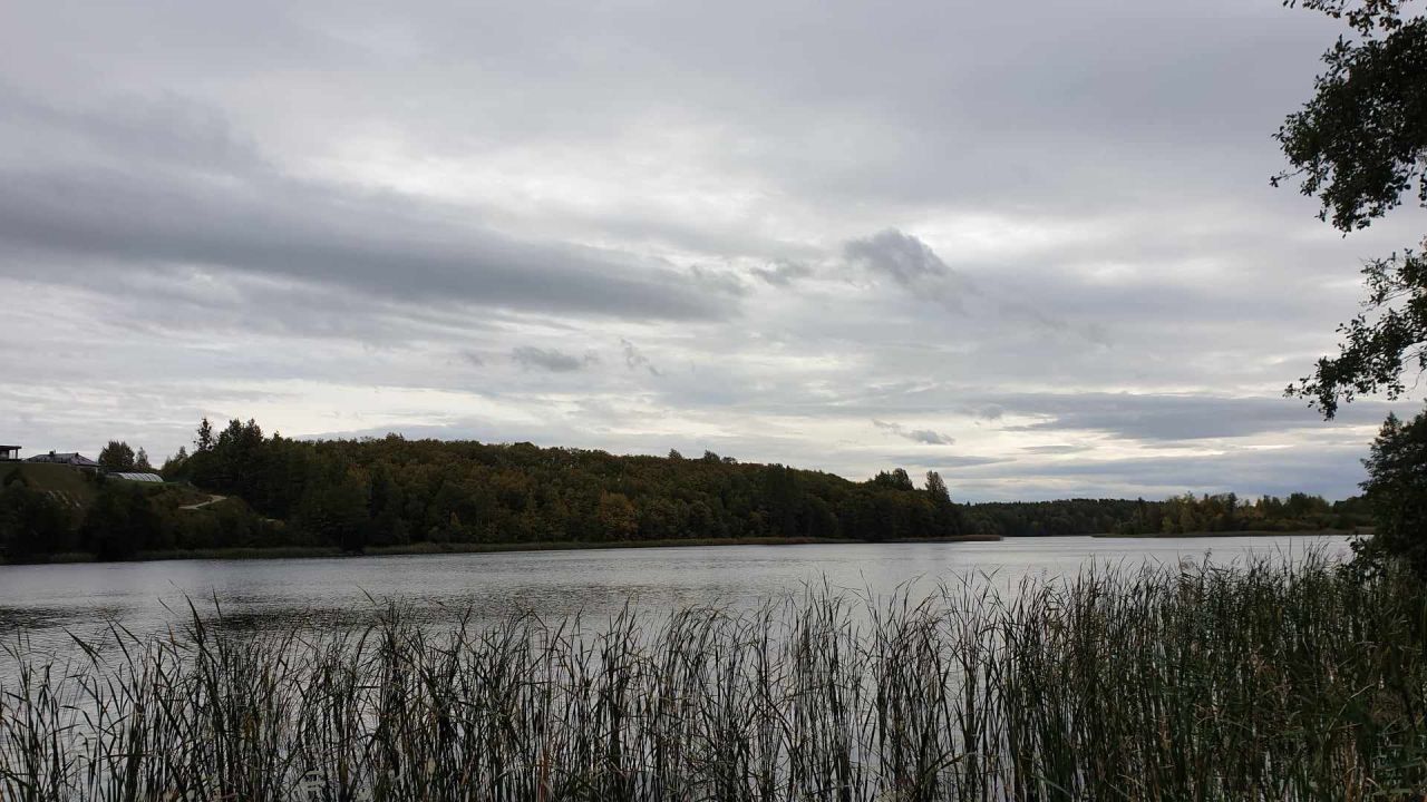 Działka rekreacyjna Kruszyny Szlacheckie. Zdjęcie 6