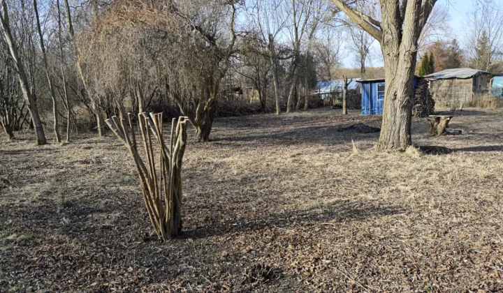 Działka rekreacyjna Lublin Podzamcze, ul. Podzamcze