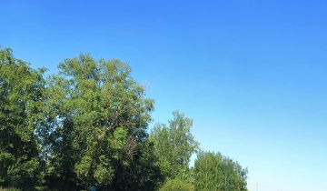 Działka rolno-budowlana Trąbin-Rumunki