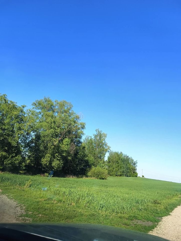 Działka rolno-budowlana Trąbin-Rumunki. Zdjęcie 2