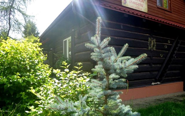 dom wolnostojący, 9 pokoi Staniątki. Zdjęcie 1