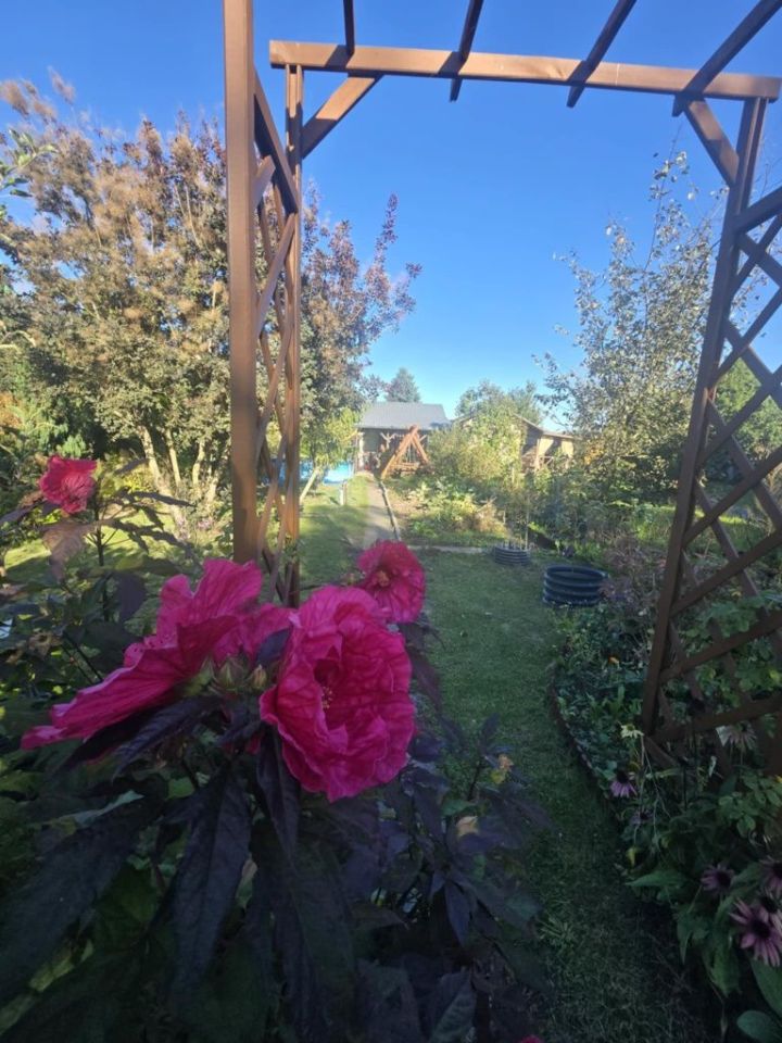 Działka rod Starachowice. Zdjęcie 5