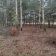 Działka budowlana Kiełkowice. Zdjęcie 3