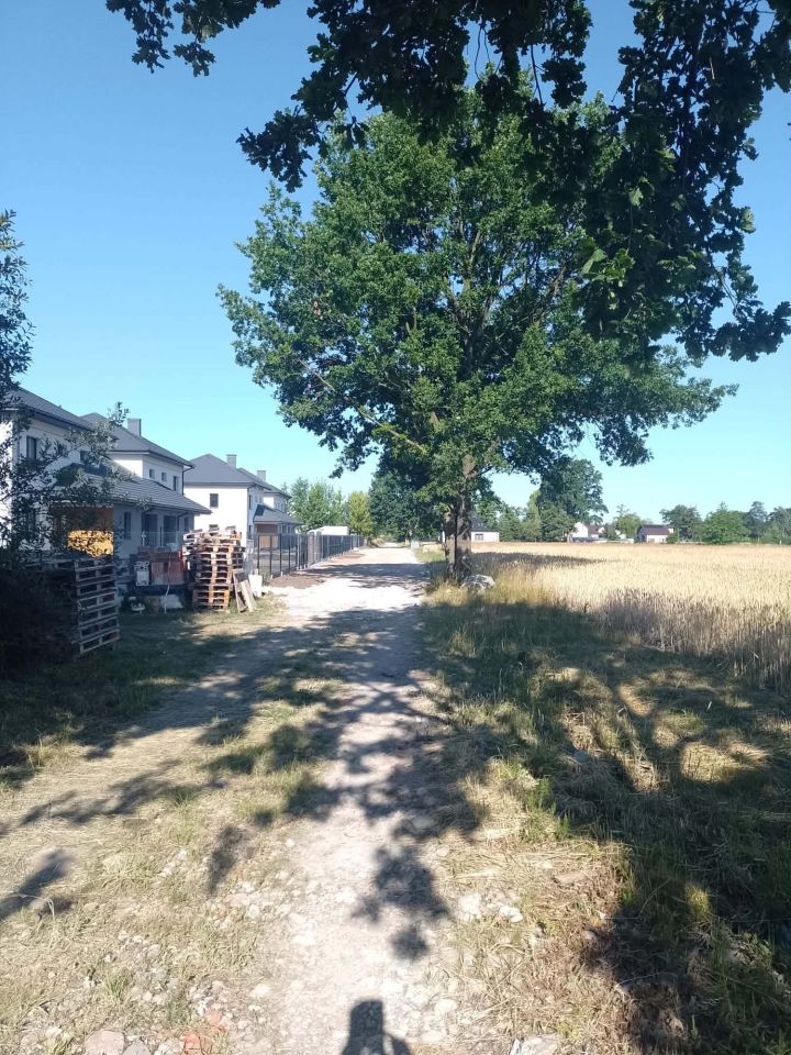 Działka budowlana Chrzanów Mały, ul. Pistacjowa. Zdjęcie 1