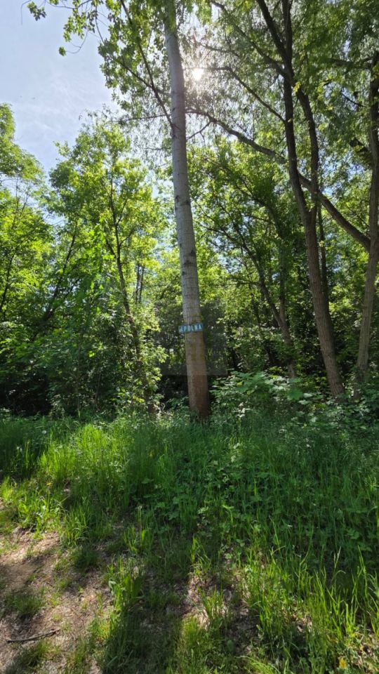 Działka inwestycyjna Olszówka, ul. Polna. Zdjęcie 6