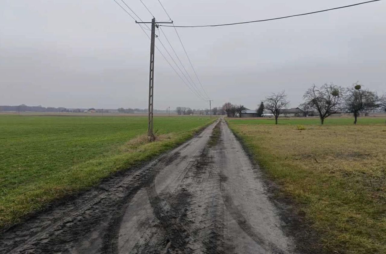 Działka siedliskowa Bachus. Zdjęcie 10