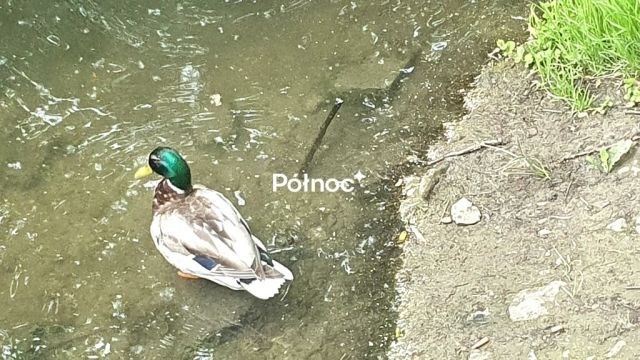 Mieszkanie 3-pokojowe Kraków, ul. Edwarda Heila. Zdjęcie 13