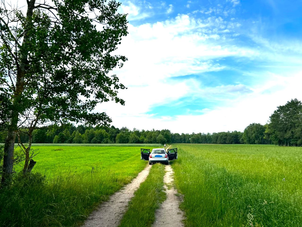 Działka rolno-budowlana Prusocin, droga gminna - działka nr 9. Zdjęcie 20
