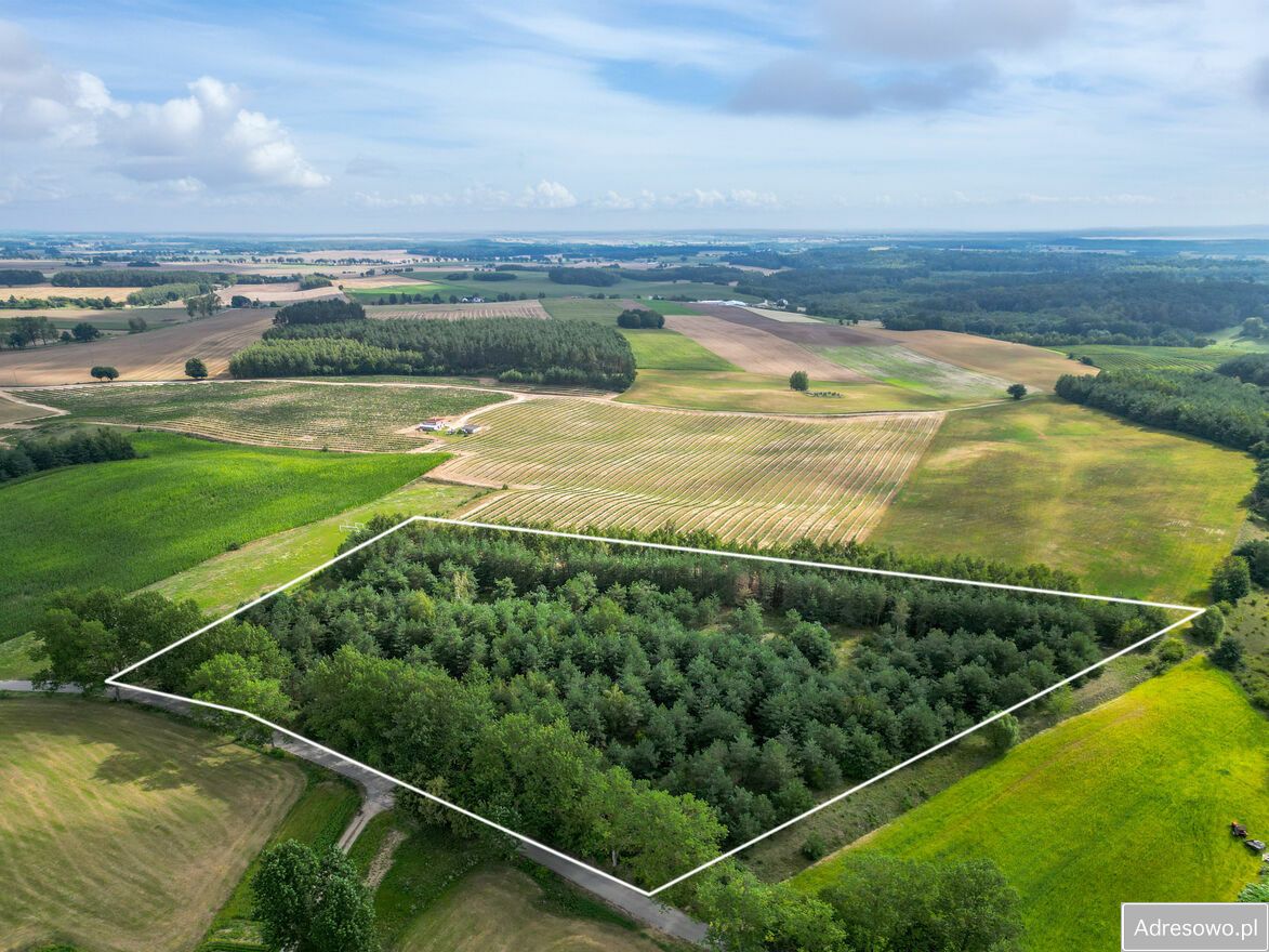 Działka rolno-budowlana Lorki. Zdjęcie 11