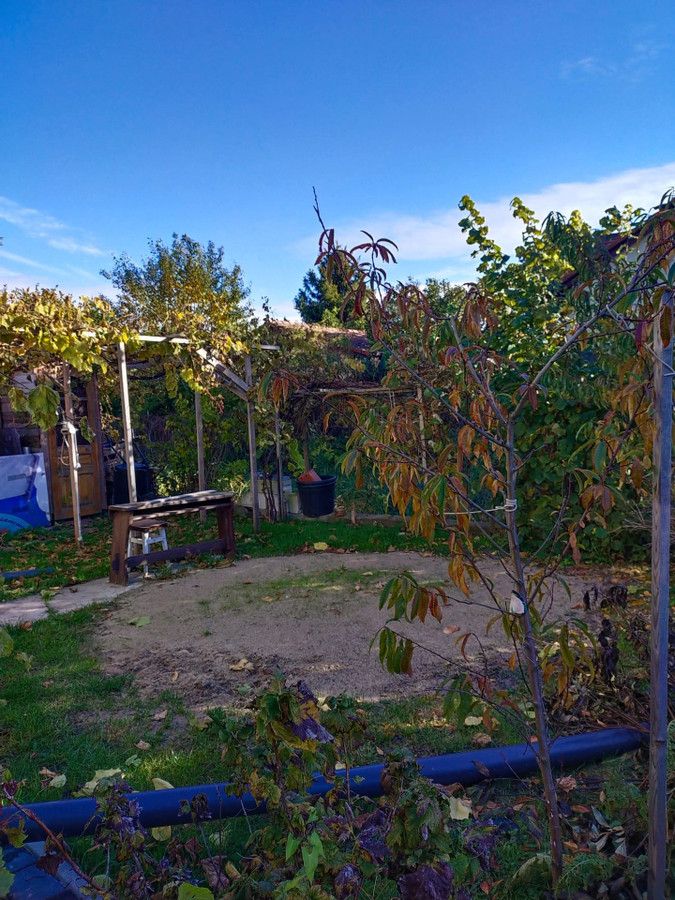 Działka rod Gdańsk Olszynka, ul. Goździkowa. Zdjęcie 17