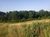 Działka rolno-budowlana Mnichy. Zdjęcie 2