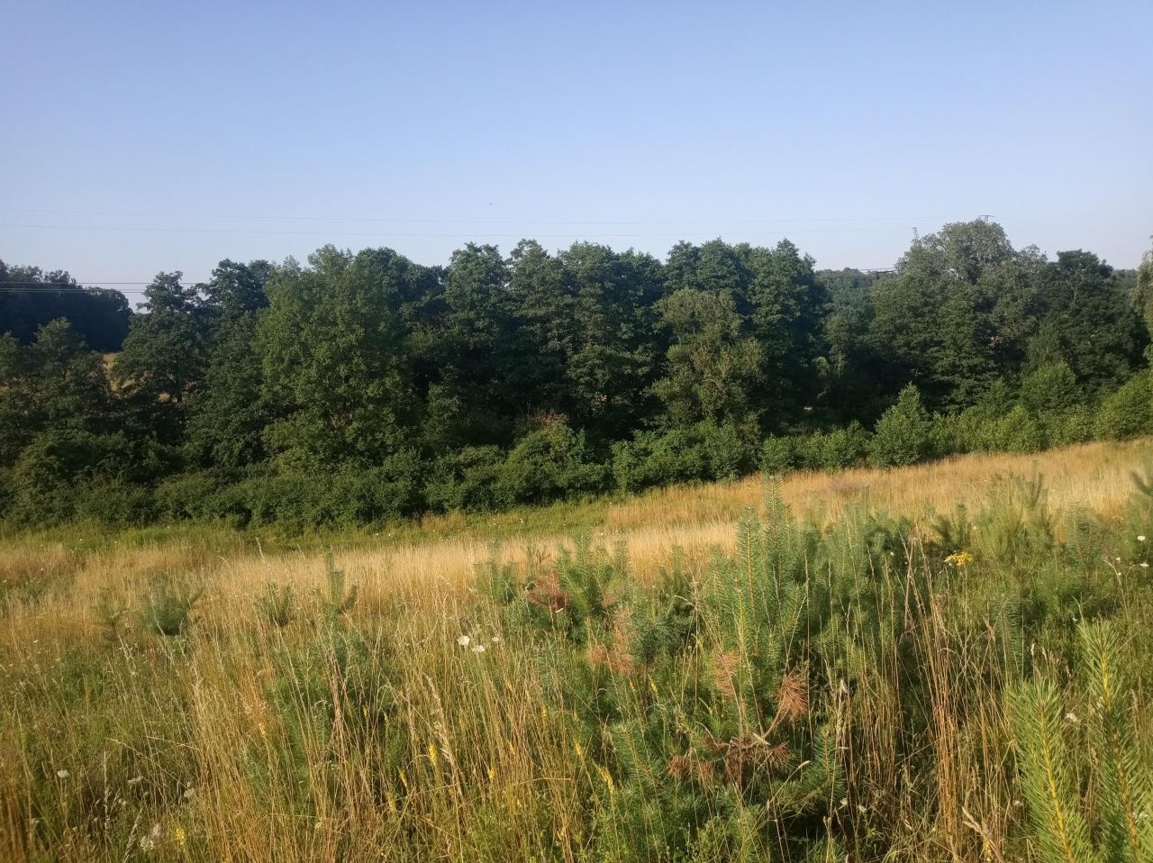 Działka rolno-budowlana Mnichy. Zdjęcie 3