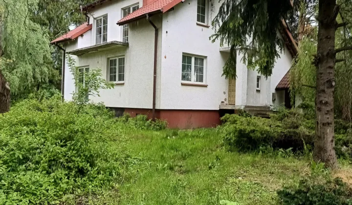 dom wolnostojący, 5 pokoi Drzewce-Kolonia