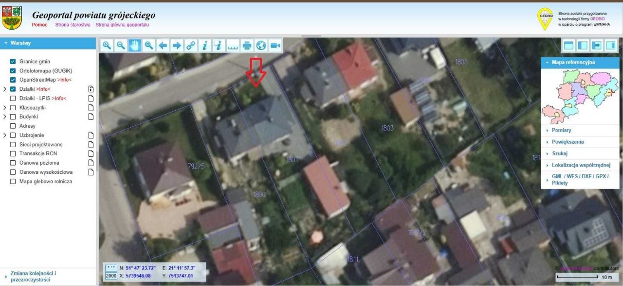 bliźniak Warka. Zdjęcie 2