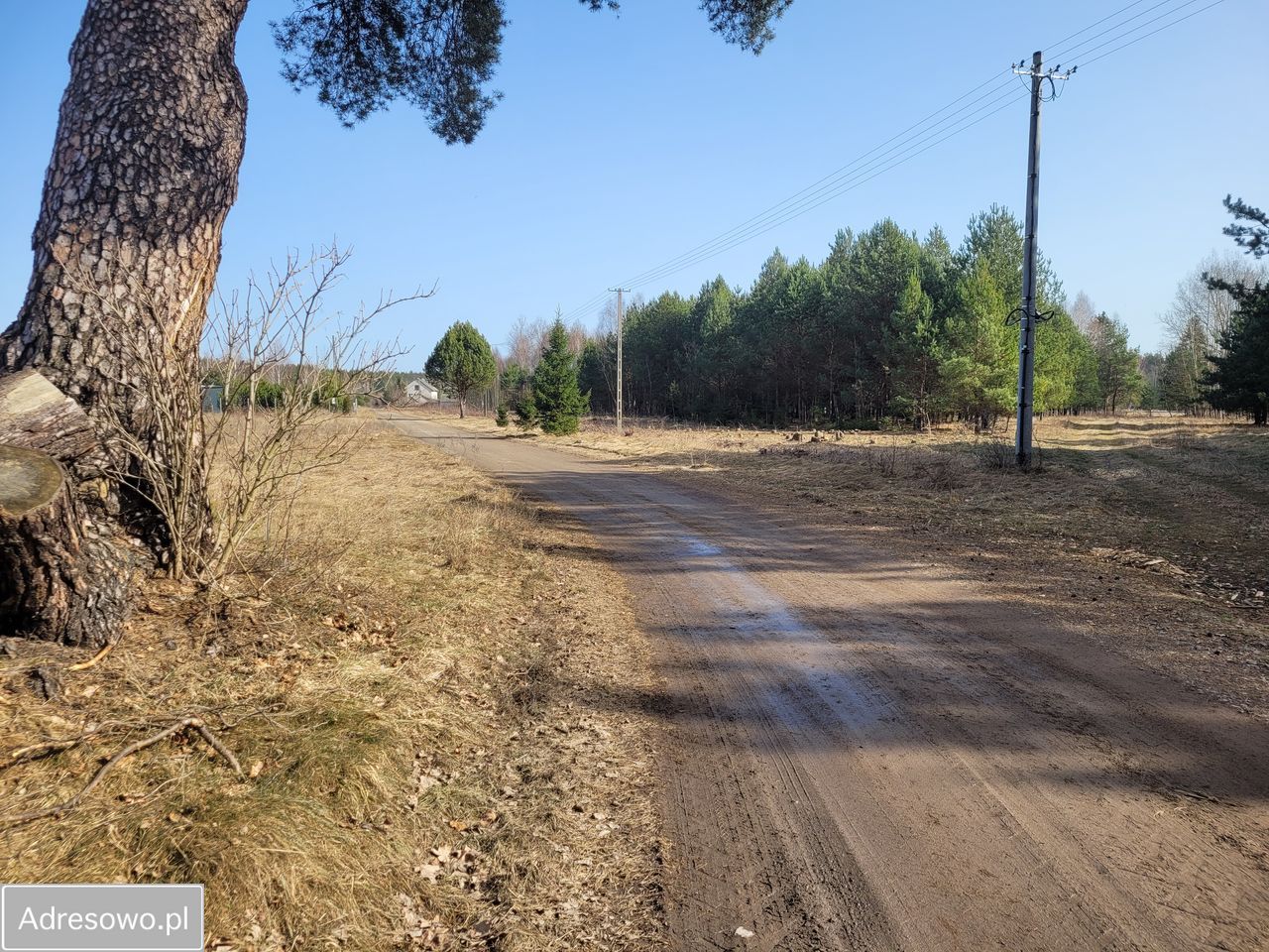 Działka budowlana Skruda. Zdjęcie 1