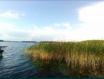 Działka rolna Trzebawie. Zdjęcie 2