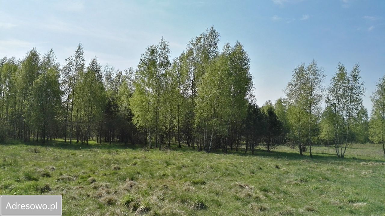 Działka siedliskowa Łubniki. Zdjęcie 3