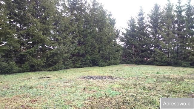 dom wolnostojący, 5 pokoi Miączyn. Zdjęcie 3