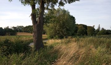 Działka rolno-budowlana Żuława, ul. Kwiatowa