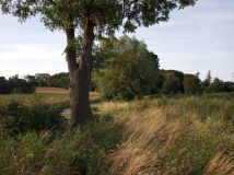 Działka rolno-budowlana Żuława, ul. Kwiatowa. Zdjęcie 1