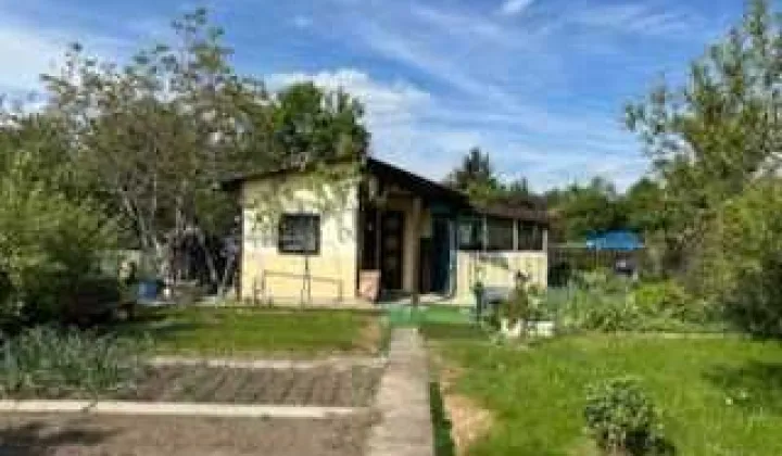 Działka rod Wrocław Kozanów, ul. Zabłocie