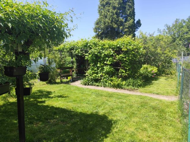 Działka rekreacyjna Nowy Sącz, ul. Ogrodowa. Zdjęcie 1