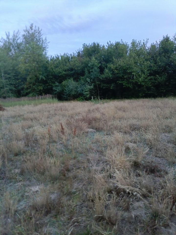 Działka rolno-budowlana Miłkowska Karczma. Zdjęcie 2