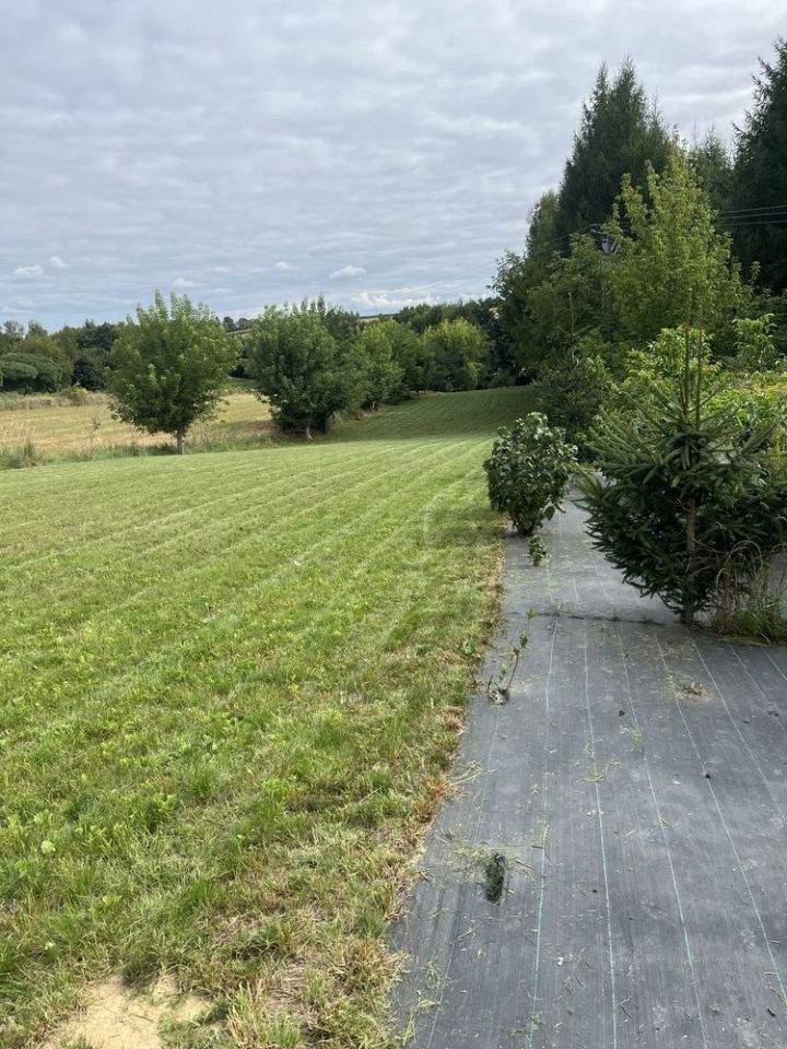 Działka rekreacyjna Miechów. Zdjęcie 6