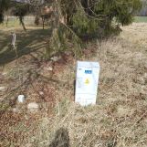 Działka siedliskowa Słupeczno. Zdjęcie 2