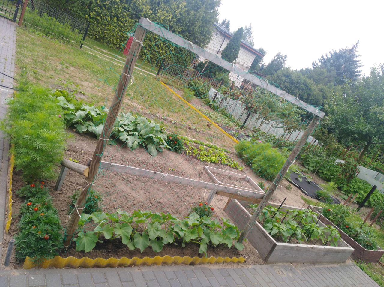 Działka rod Poznań Grunwald, ul. Złotowska. Zdjęcie 4