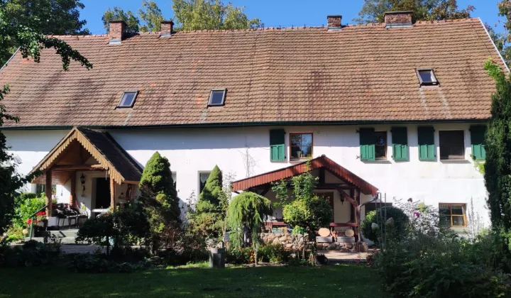 Nieruchomość komercyjna Przybyszów Korzeń