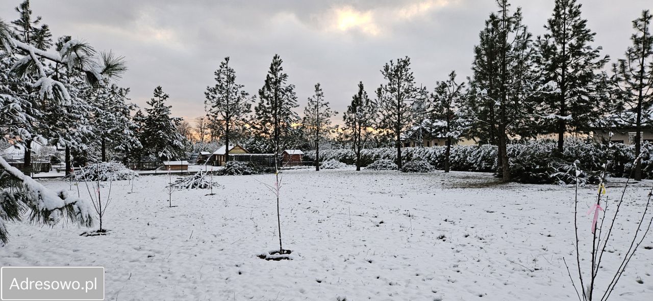 Działka budowlana Filice. Zdjęcie 7