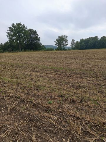 Działka rolno-budowlana Policko. Zdjęcie 1