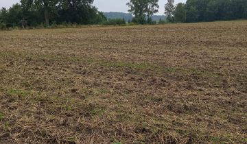 Działka rolno-budowlana Policko