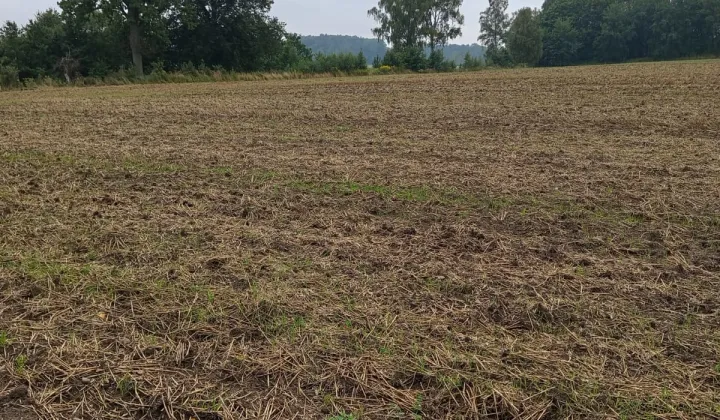 Działka rolno-budowlana Policko