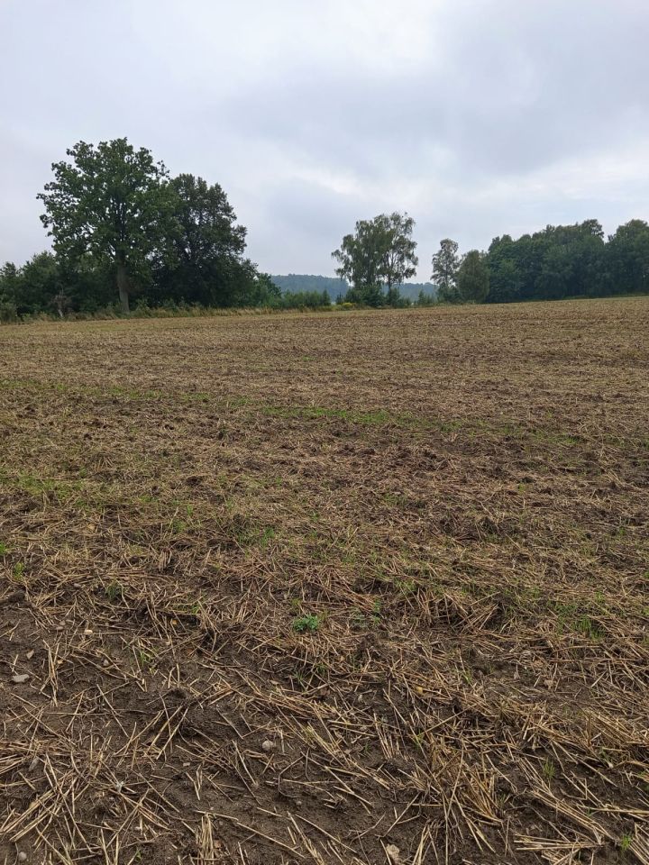 Działka rolno-budowlana Policko