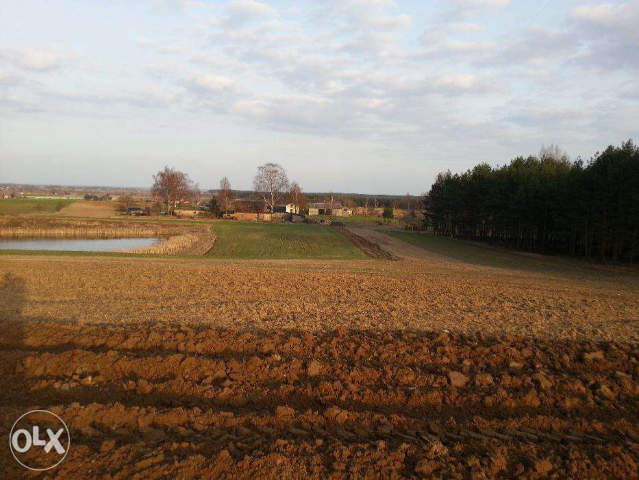 Działka rolna Smętowo Graniczne. Zdjęcie 5